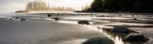 BCALM, Mindfulness meditation, Victoria British Columbia