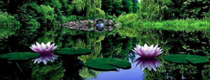 BCALM, Mindfulness meditation, Victoria British Columbia